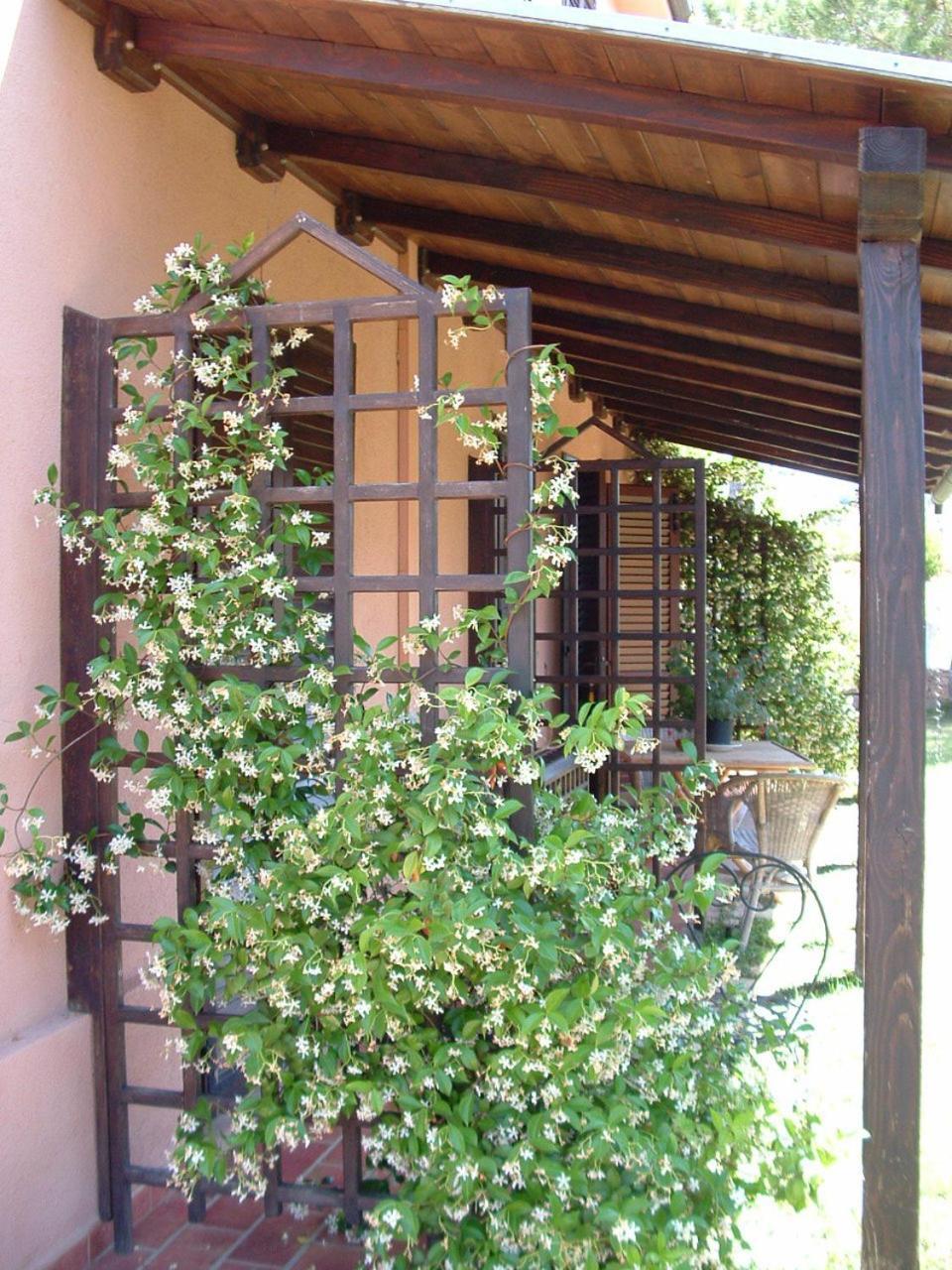 Agriturismo Pian Dei Pini 蒙蒂亚诺 外观 照片