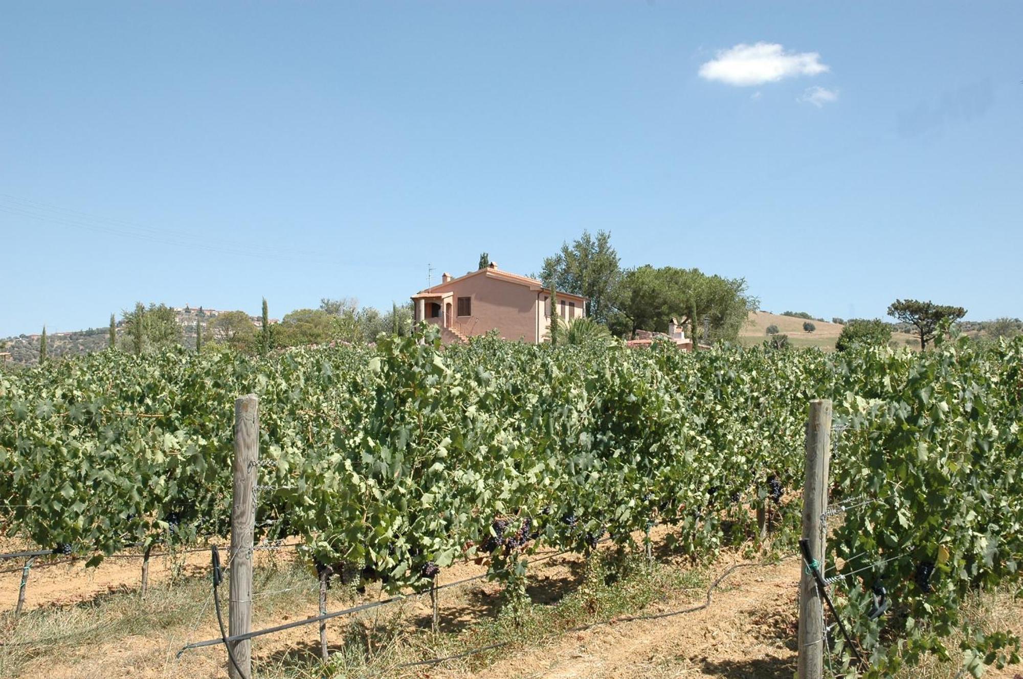 Agriturismo Pian Dei Pini 蒙蒂亚诺 外观 照片