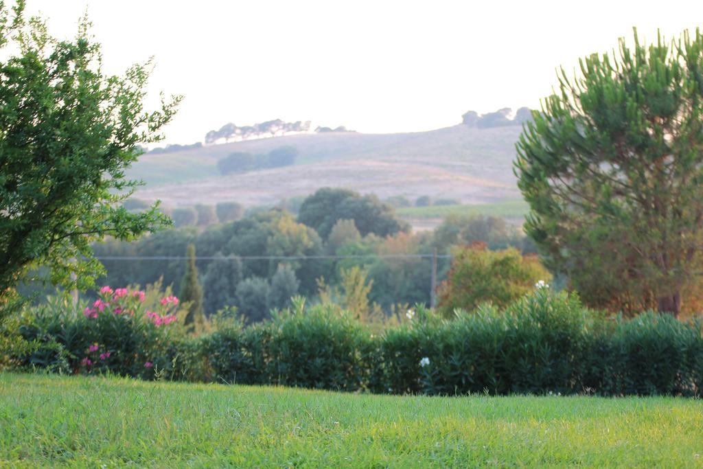 Agriturismo Pian Dei Pini 蒙蒂亚诺 外观 照片
