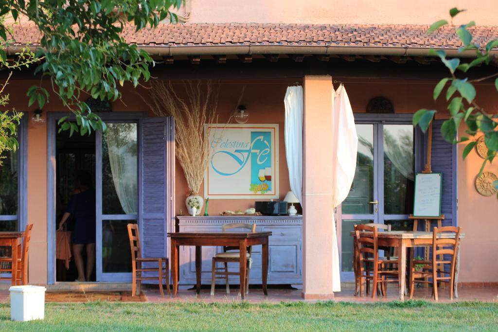 Agriturismo Pian Dei Pini 蒙蒂亚诺 外观 照片